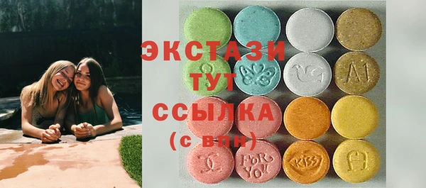 тгк Снежногорск